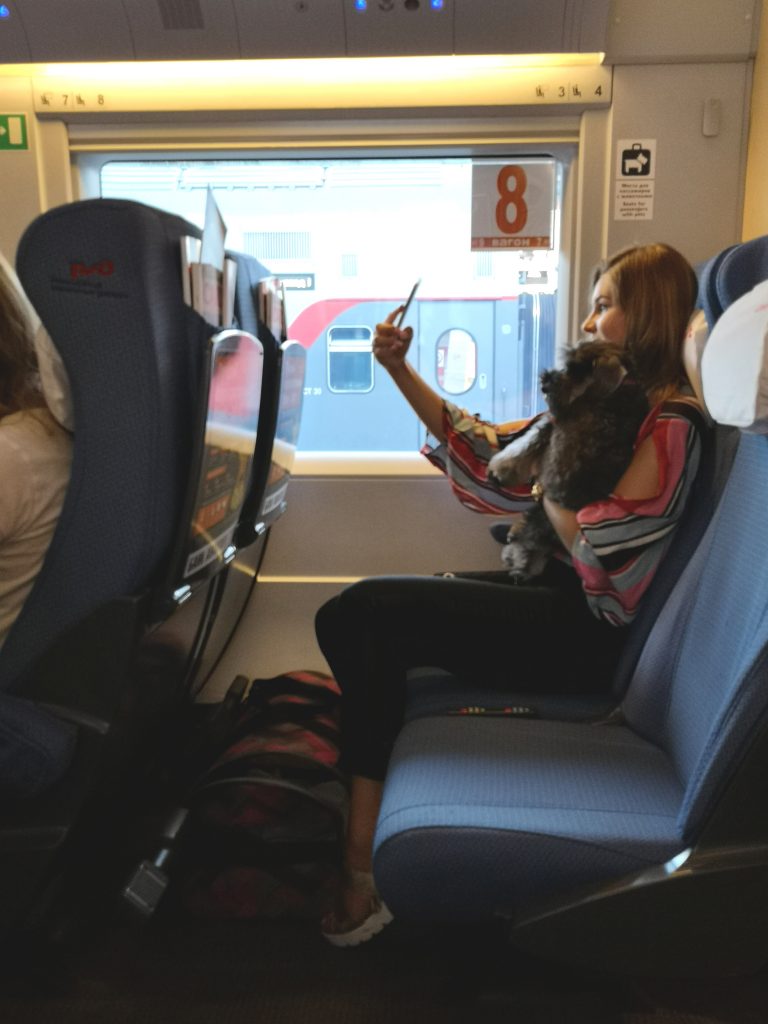 Sapsan train seat